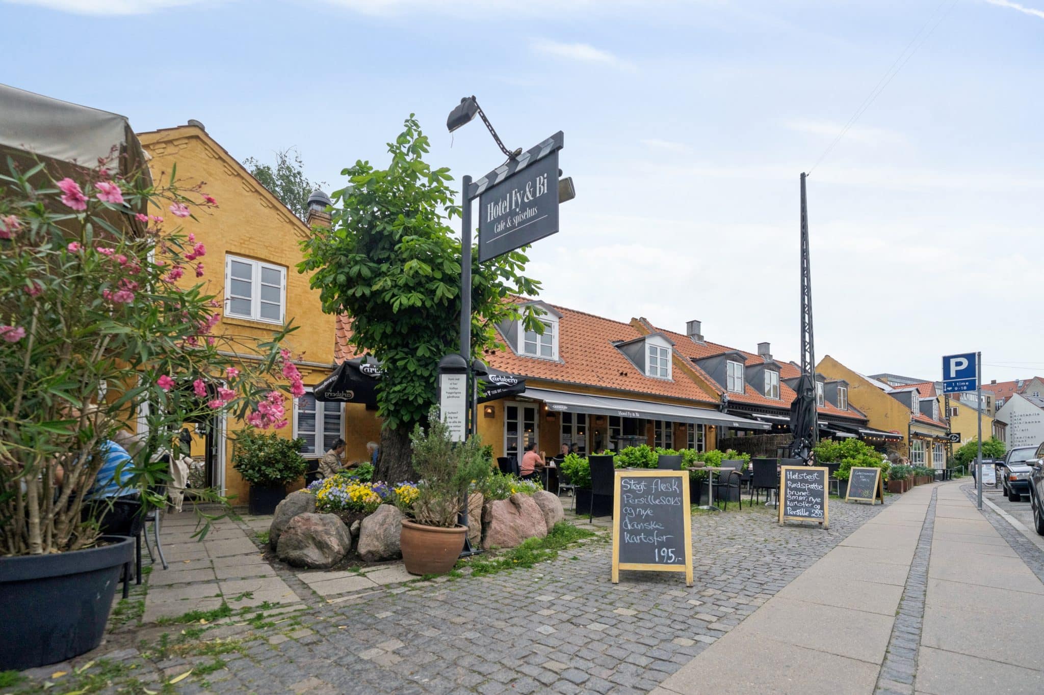 Dsc3389