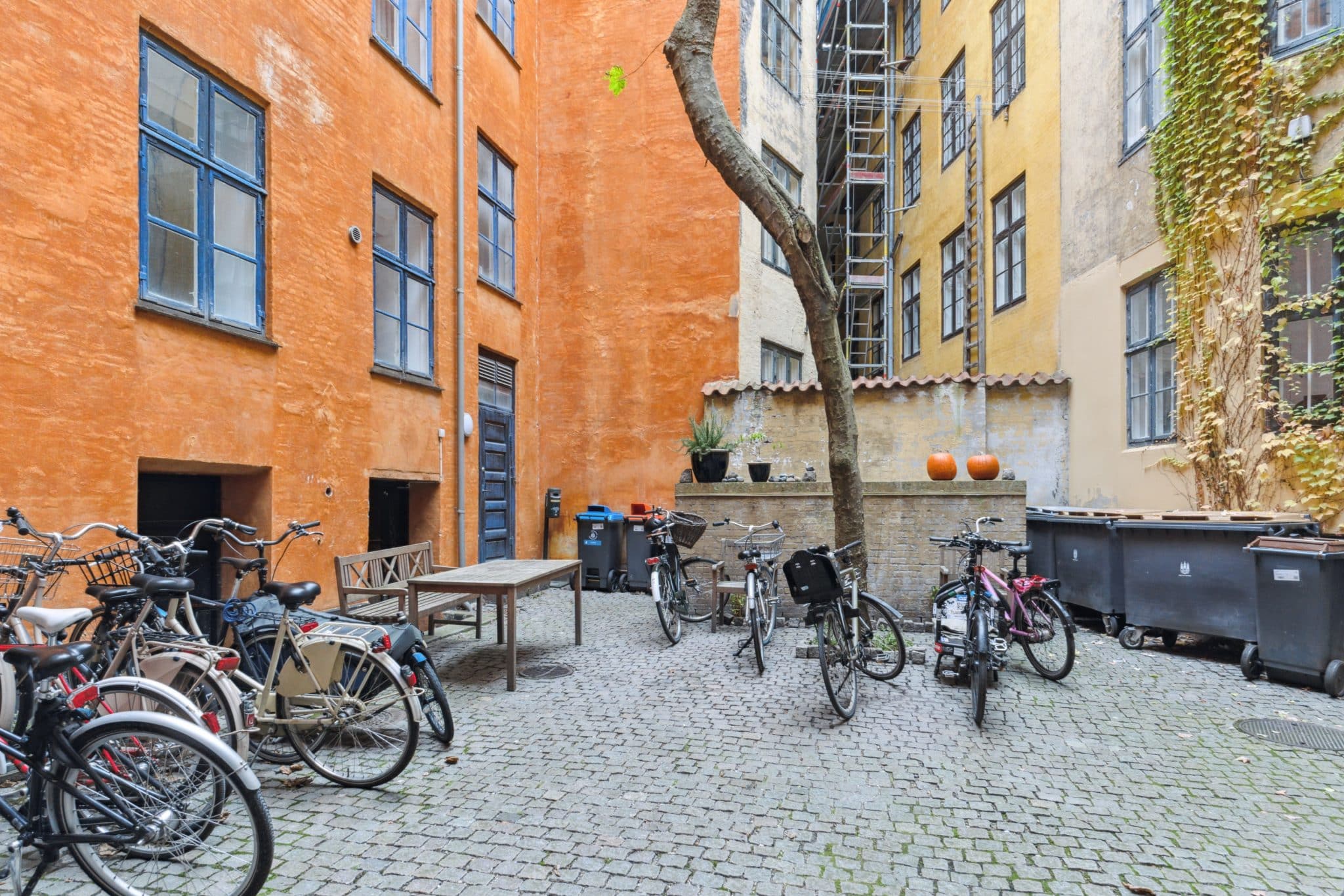 Dsc06011