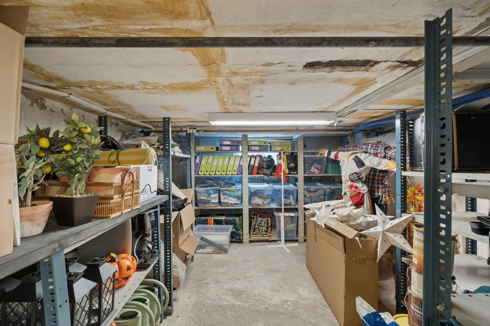 Dsc06997